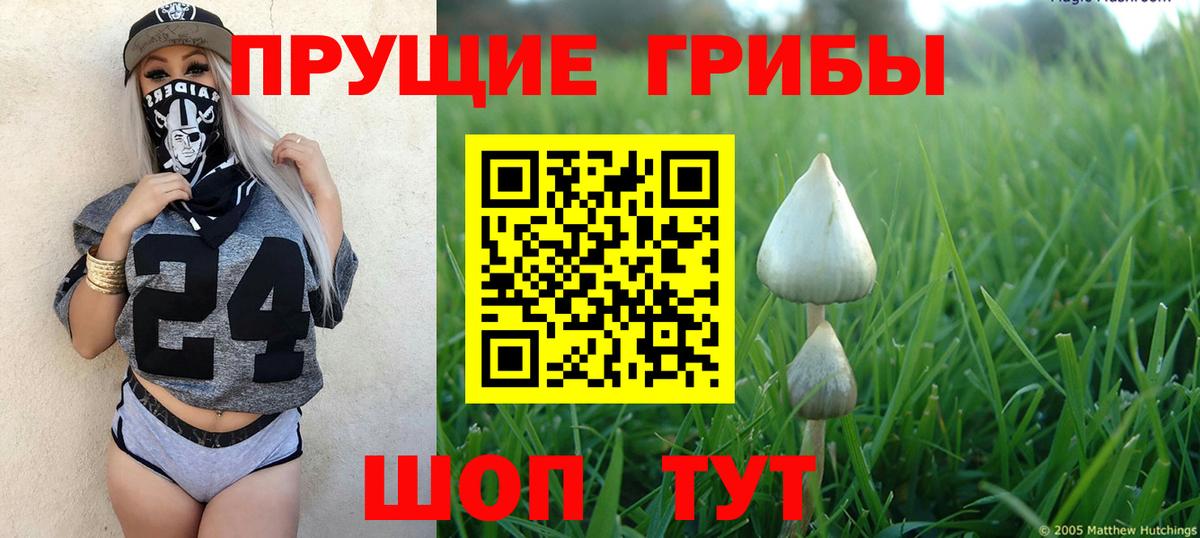 Галлюциногенные грибы ЛСД Усть-Илимск