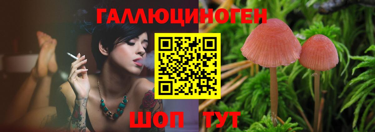 Галлюциногенные грибы мухоморы  что такое   Галлюциногенные грибы мицелий  Усть-Илимск  Вход с VPN 
